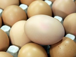 Курино-яйцевый бум Украины в ЕС