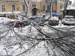 С завтрашнего дня в центре Киева запрещена парковка