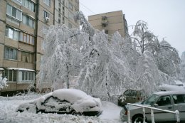 Попов: "Столицу от снега убирают  бесплатно"