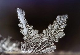 Необыкновенно красивые кусочки льда, созданные природой (ФОТО)