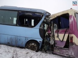 Кровавое ДТП под Мариуполем. Столкнулись два автобуса (ФОТО+ВИДЕО)