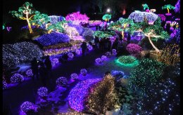 Праздничные световые инсталляции со всего мира (ФОТО)