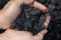 В Украине продадут шахты за 1 гривну сыну Януковича