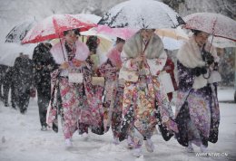 На Японию обрушились мощные снегопады - есть жертвы (ВИДЕО)