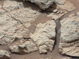 Марсоход Curiosity ищет подтверждение жизни на Марсе