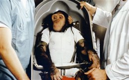 Иранская обезьяна из космоса не вернулась