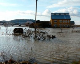 Оттепель в Закарпатье привела к затоплению (ФОТО)