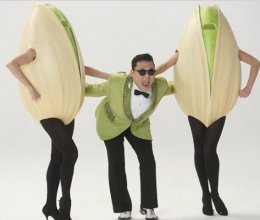 Знаменитый корейский рэпер Psy зарабатывает на жизнь рекламой фисташек (ВИДЕО)