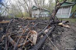 На пепелище заброшенного дома собаки обнаружили человеческие кости