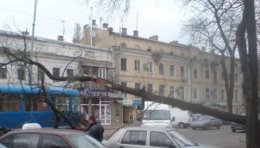 В Одессе ураганный ветер валит деревья и сносит кровли