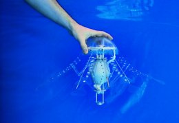 Электронная медуза-разведчик за 5 млн долларов (ФОТО)