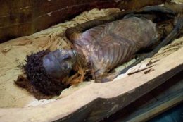 Раскрыты секреты бальзамирования египетских мумий