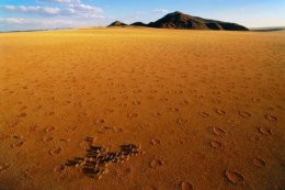 Таинственные пятна на полях Намибии (ФОТО)