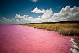 Розовое озеро Ретба (ФОТО+ВИДЕО)