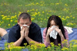 Состоятельные люди чаще страдают от аллергии