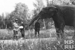 Как царь-батюшка слона выгуливал и дочке прикурить давал (ФОТО)