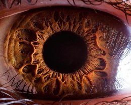 Революционное открытие может переписать учебники офтальмологии