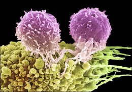 Исследователям удалось определить формулу запаха раковых клеток