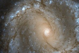 Астрономы сняли уникальную галактику с шестью сверхновыми (ФОТО)