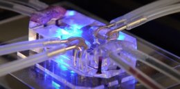 Физики напечатали вживляемую 3D микробатарейку (ФОТО)