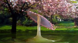 Французский фотограф создает завораживающие фото капель воды (ФОТО)