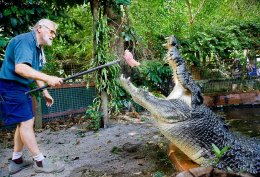 Крупнейший в мире крокодил отпраздновал свой 110-й юбилей (ВИДЕО)