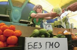 Кабмин намерен создать в Украине сеть лабораторий по проверке продуктов на ГМО