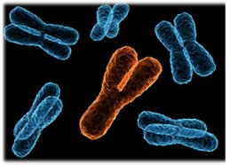 Биологи смогли "выключить" хромосому у страдающих синдромом Дауна