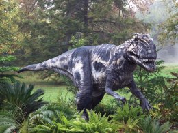 В Мексике нашли уникальные останки динозавра (ВИДЕО)