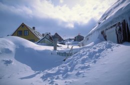 Изменение климата может стать причиной массового озеленения Гренландии