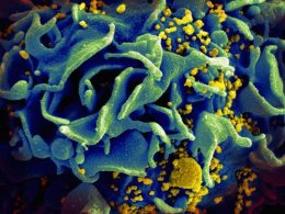 Американские ученые создали препарат препятствующий передаче ВИЧ