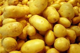 Украина побила рекорд по экспорту картофеля