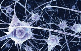 Ученые близки к созданию лекарства против болезней Альцгеймера и Паркинсона