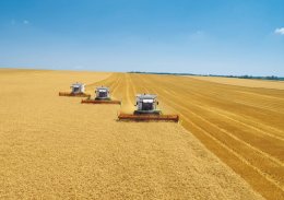 Украина - рекордсмен по экспорту зерновых