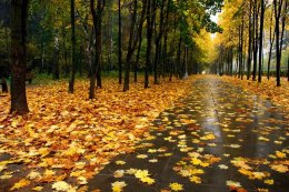 Погода в Украине на выходные, 19 и 20 октября