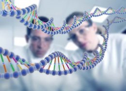 Найдены гены, отвечающие за черты лица