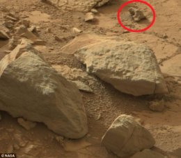 На Марсе обнаружили окаменевшую ящерицу (ФОТО+ВИДЕО)