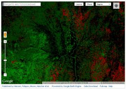 Ученые создали самую подробную карту лесов нашей планеты (ФОТО)