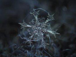 Удивительный мир снежинок (ФОТО)