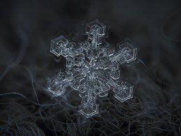 Удивительный мир снежинок (ФОТО)