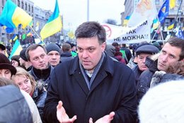 Как «Свобода» превратила в фарс мирные протесты в Киеве