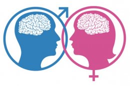Чем отличается мужской мозг от женского (ФОТО)