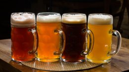Пиво может продлевать молодость и защищать от рака
