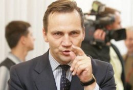 Сикорский: требование отставки Януковича - ошибка