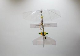 Ученые создали электронную летающую стрекозу (ВИДЕО)