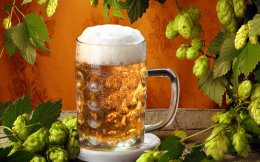 Чешское пиво будут производить на Херсонщине