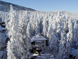 Через 50 лет зимы в Финляндии не будет