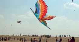 В Дубае прошел фестиваль  воздушных змеев