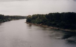 Паводок на Дунае хотят предупредить
