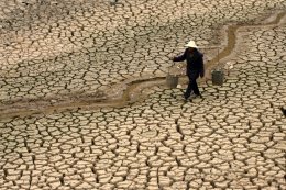 Рекордная засуха угрожает Калифорнии
